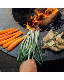 Ofyr stegeplade på grill