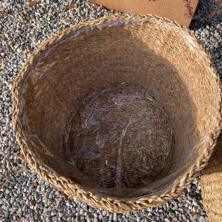 Plantekurv med plast tilbud