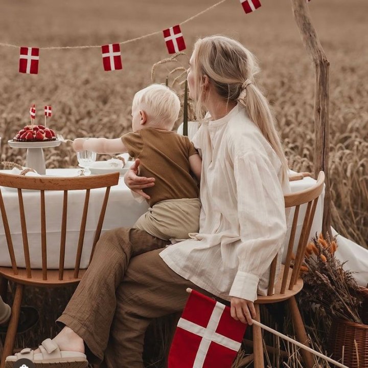 Dannebrogsflag og Hurraflag På Træpind fra Langkilde & Søn
